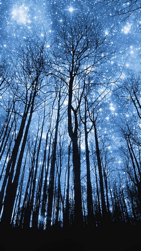 Starry Night In Forest Iphone Wallpaper Id 20171