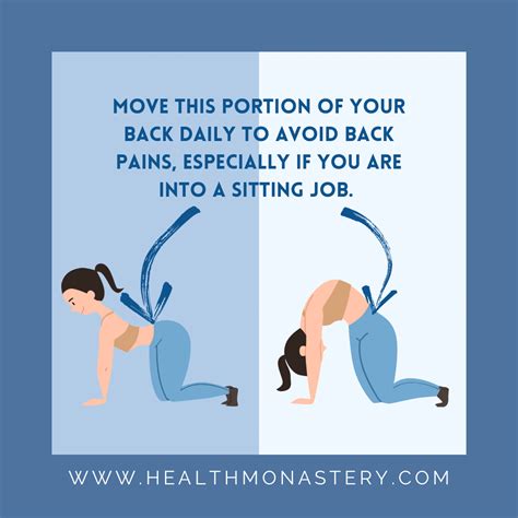 5 Lower Back Stretches For Pain Relief And Strengthening Healthmonastery