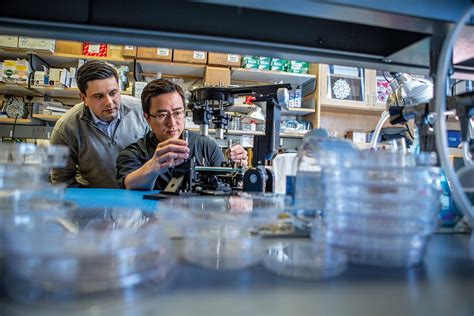Bioengineering Spin Off Vivodyne On Fast Companys Most Innovative List Penn Engineering Blog