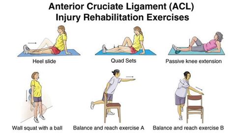 Anterior Cruciate Ligament Acl Injury Exercises