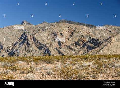 Gold Butte National Monument Bunkerville Nevada Usa North America