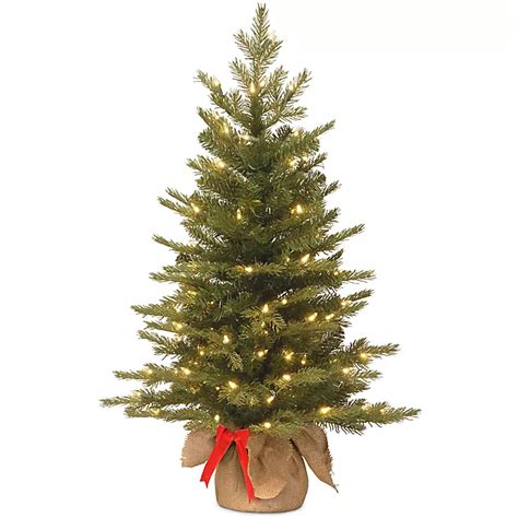 National Tree 3 Foot Nordic Spruce Battery Operated Pre Lit Christmas