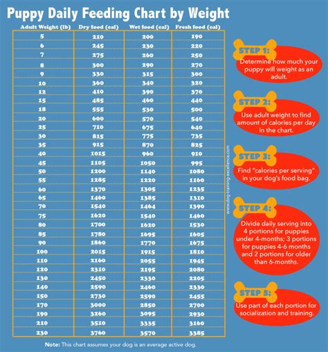 You can select age, activity level, weight (pounds or kilograms). Puppy Feeding Schedule: Look at the chart, follow the tips!