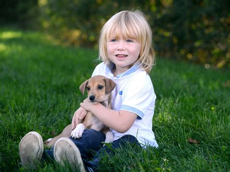 Toddler fun learning presents lots of toddler learning videos with puppy park. Puppies and children | Blue Cross