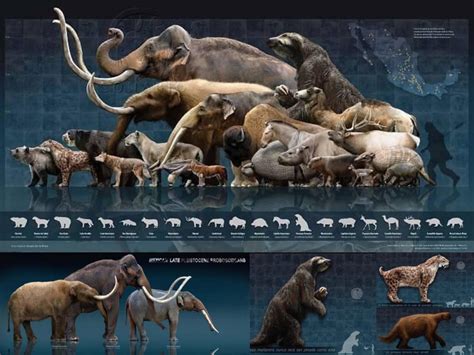 Ice Age Extinction Event Tracing Origins