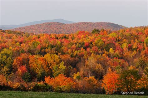 Peak Foliage Vermont By Stephen Beattie Redbubble