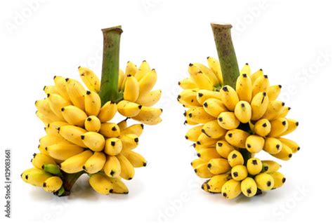 Banana Bunch Isolated On White Backgroundripe Bananas Bunch Iso
