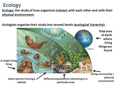 Ecology Ecology The Study Of How Organisms Interact With Each Other