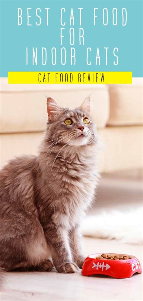 Indoor cats tend to be less active than their outdoor counterparts, and if your indoor feline has packed on a few pounds, this food from avoderm can help. Best Cat Food For Indoor Cats - Top Tips And Reviews