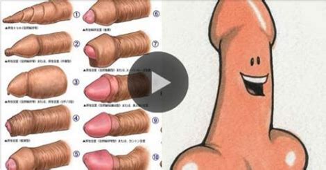 How To Insert Penis Into Vagina Amauter Gay