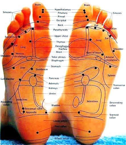 If you never experienced a foot massage and stimulation of the pressure points in your feet, watching a video on this subject. Foot Reflexology Chart Very scientific and accurate chart ...