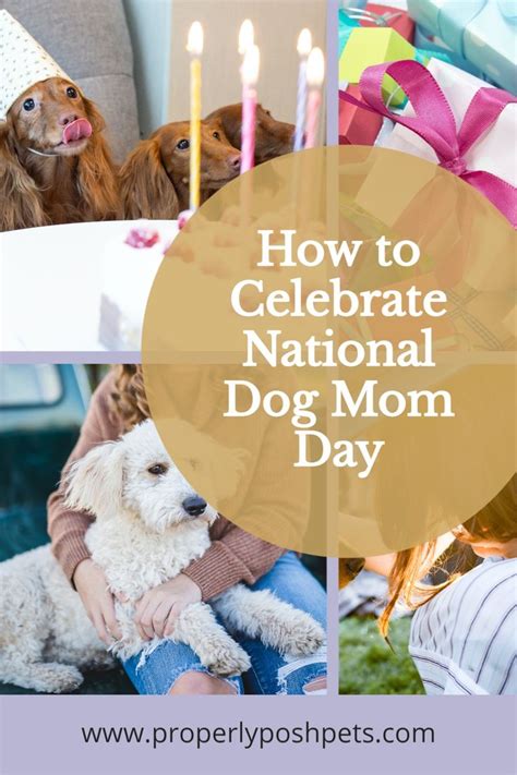 How To Celebrate National Dog Mom Day Dog Mom Pet Holiday Mom Day