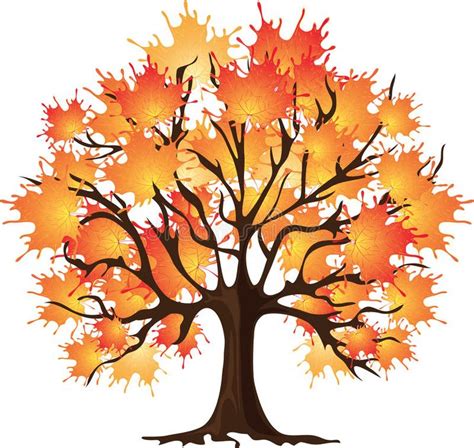 An Autumn Tree With Orange Leaves