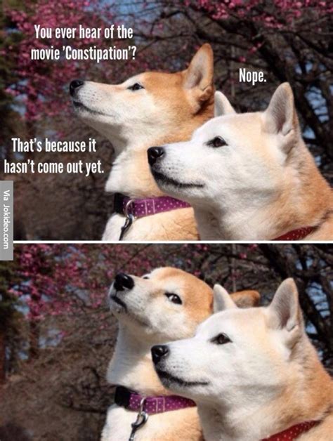 Dog Puns