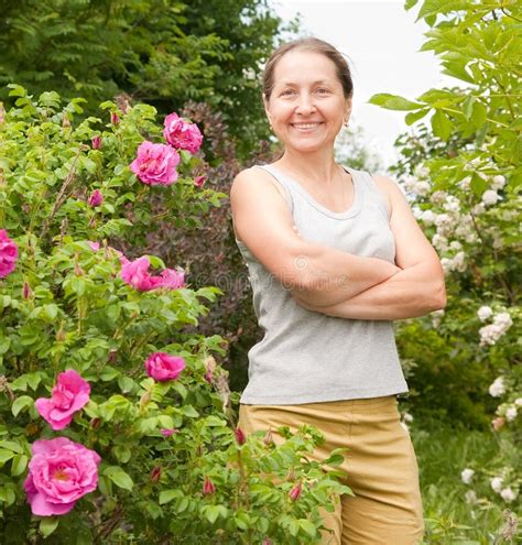 Woman In Garden Stock Photo Image Of Dogrose Blossoming 20369566