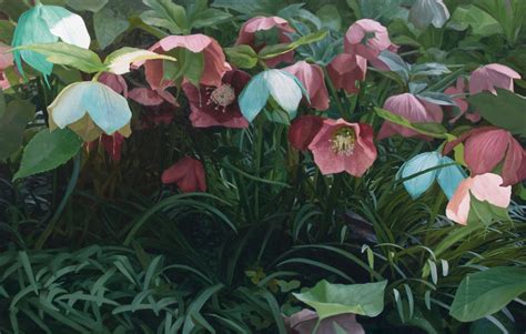 Oil Painting Of Hellebores By Francescolombardo On Deviantart