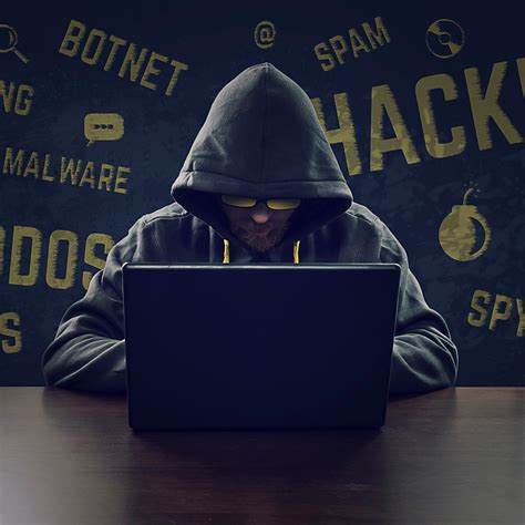 Hacking Background Images ~ 13 Matrix Background Hacker Wallpaper Png