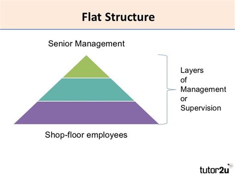Flat Organizational Structure Definition Images