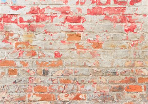 Old Rustic Brick Wall Backdrop Shabby Peeling Brick For Sale Whosedrop