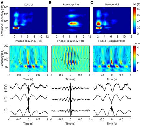 Frontiers Delta Mediated Cross Frequency Coupling Organizes