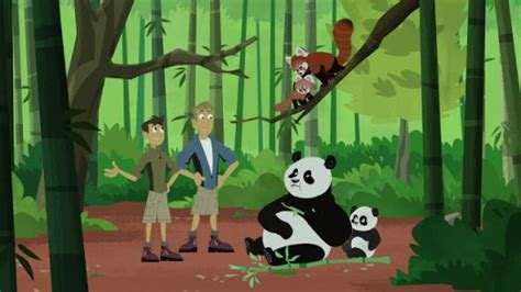 Wild Kratts Panda Monium Tiff Steph And Randi Reviews