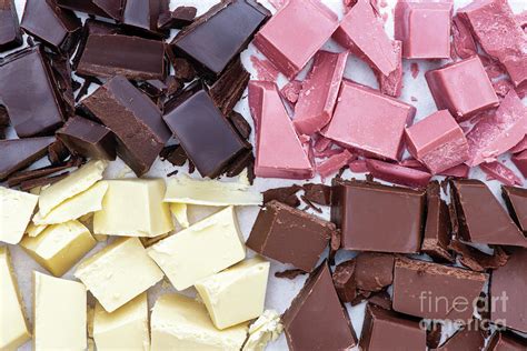 Four Types Of Chocolate Photograph By Tim Gainey Pixels