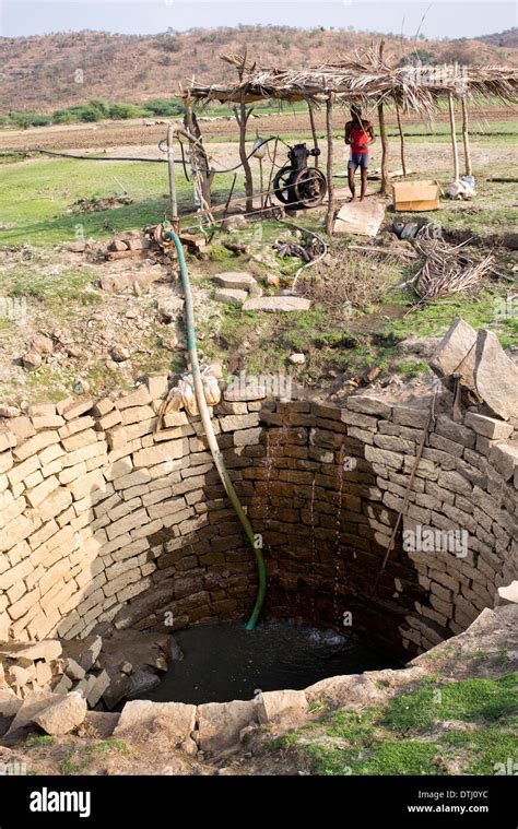 Pumping Water Out Of A Well In The Indian Countryside For Rice Paddy