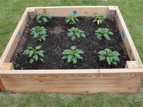 You'll be amazed how simple it is to grow your own plants and vegetables! How to Plan a Raised Garden Bed | Dengarden