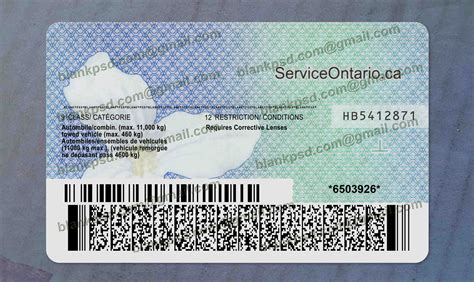 Ontario Drivers License Template New V1 Blank Psd