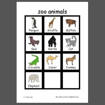 zoo animals