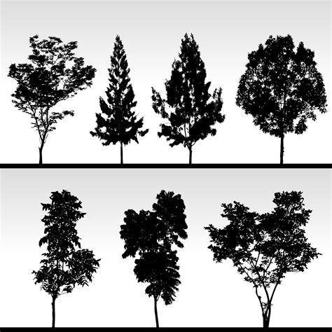 Silhouettes Of Trees