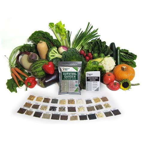 15000 Non Gmo Heirloom Vegetable Seeds Survival Garden 32 Variety Pack