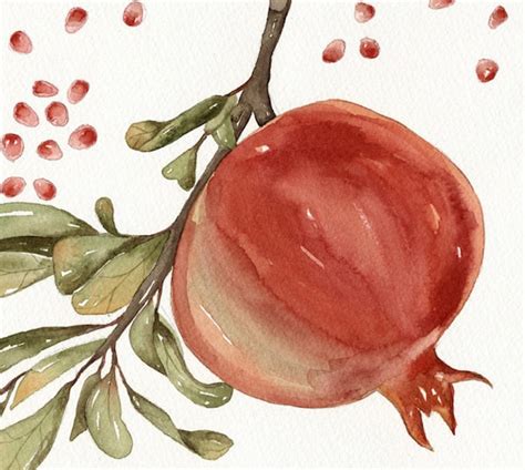 Pomegranate Watercolor Art Original Painting By Lorisworld