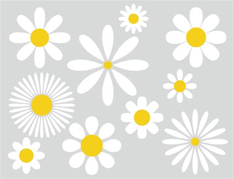 Clipart Daisy Svg Png Flower Svg Bundle Daisy Cut Files For Etsy Polska
