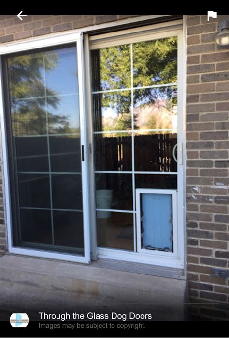 Choose the one that is frequently used by your pet. Siding glass patio door with dog door in 2020 | Glass ...