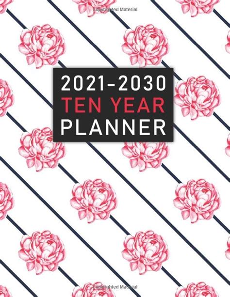 2021 2030 Ten Year Planner Pretty Pink Roses At A Glance 120 Months