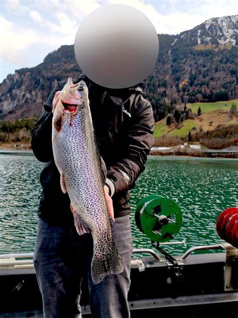 Beautiful 20 inch rainbow trout. Caught him while trolling ...
