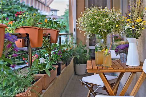 Grow A Balcony Garden Full Of Veggies Herbs And Flowers