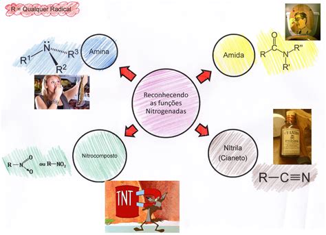 Mapa Mental Funções Nitrogenadas