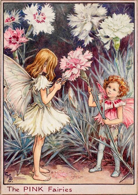 The Pink Fairies Flower Fairies
