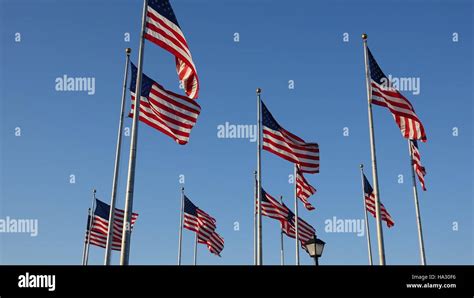 American Flags Waving On Flagpoles Stock Photo Alamy
