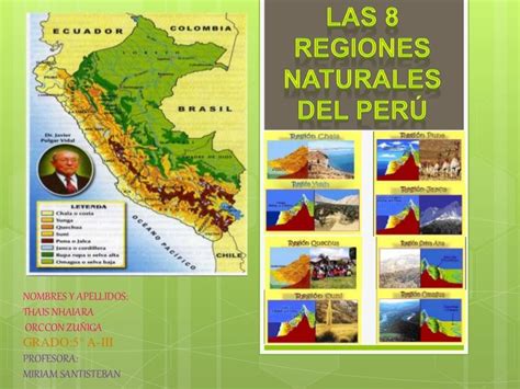 Top 18 Mejores Mapa Conceptual Sobre Las 8 Regiones Naturales Del Peru