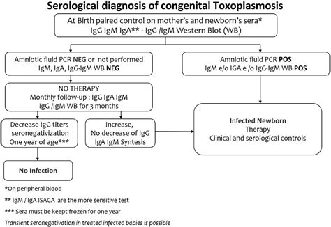Toxoplasmosis In Infants