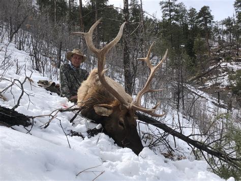 Arizona Elk Hunting Trophy Arizona Elk Hunts