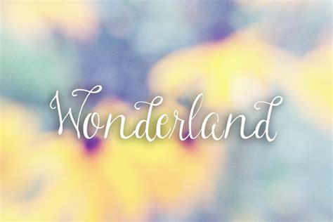 Wonderland Stunning Script Fonts ~ Creative Market