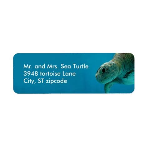 Sea Turtle Label Zazzle