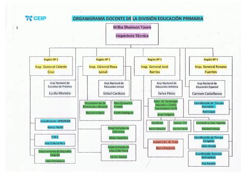 InspecciÓn Departamental De Rocha Organigrama Docente De La DivisiÓn