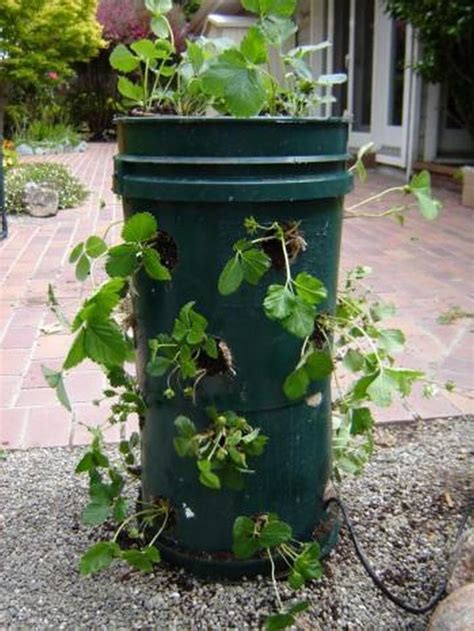 Diy 5 Gallon Bucket Strawberry Tower Garden Planters Diy Container