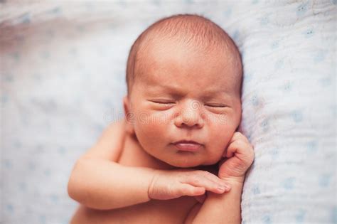 Sweet Newborn Baby Stock Photo Image Of Innocent Beautiful 49911598