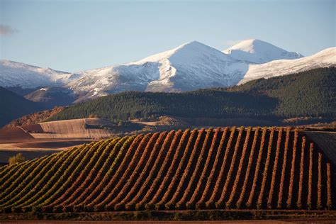 Los Paisajes De La Rioja Que Dan Carácter Al Vino — James Sturcke